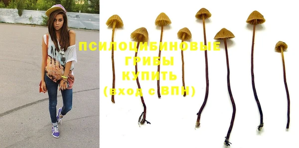 скорость Аркадак