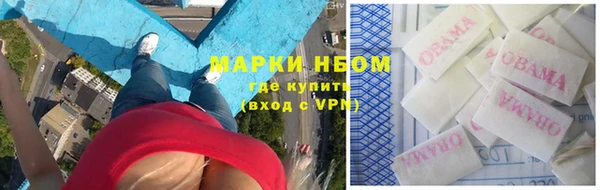 хмурый Арсеньев