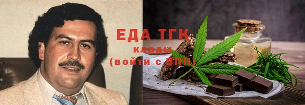 хмурый Арсеньев
