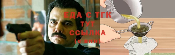 хмурый Арсеньев