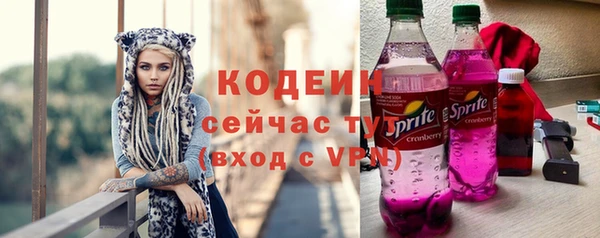 хмурый Арсеньев