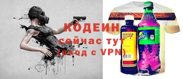 хмурый Арсеньев