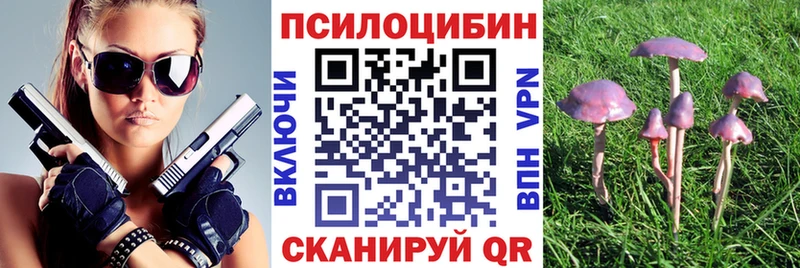 Псилоцибиновые грибы Psilocybine cubensis  гидра tor  Нарткала 